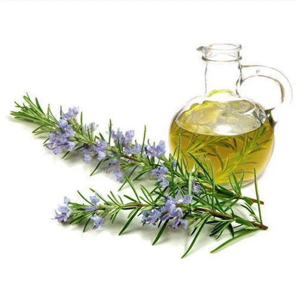 Rosemary Oil for Hair