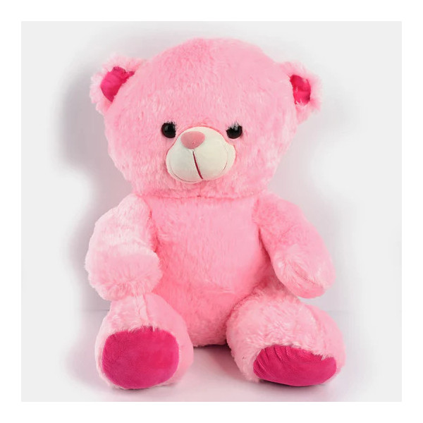 TEDDY BEAR STUFF TOY | 25CM