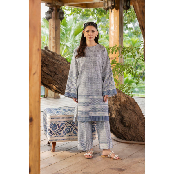 2 Piece - Printed Khaddar Suit