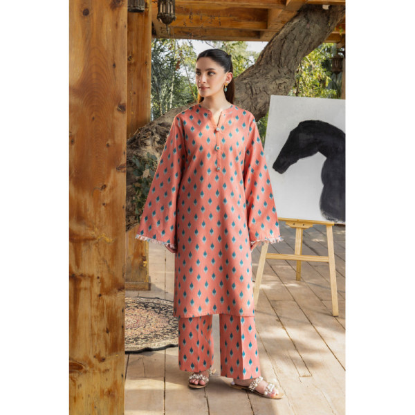 2 Piece - Printed Khaddar Suit - 